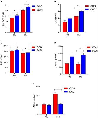 Impact of anthocyanins derived from Dioscorea alata L. on growth performance, carcass characteristics, antioxidant capacity, and immune function of Hainan black goats